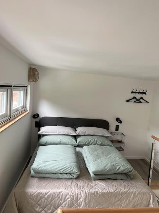 Villa Tiny House Pippilotta Bad Bentheim Exterior foto