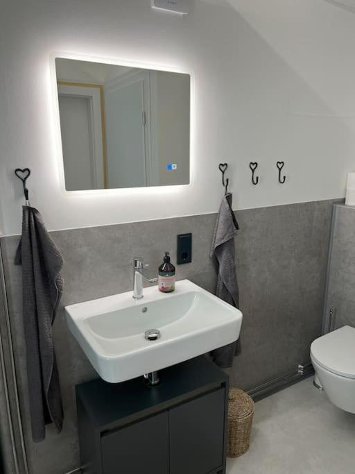 Villa Tiny House Pippilotta Bad Bentheim Exterior foto